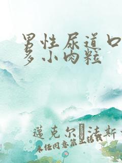 男性尿道口有很多小肉粒