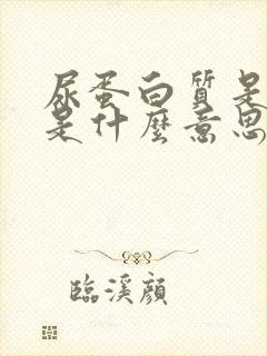 尿蛋白质是阳性是什么意思