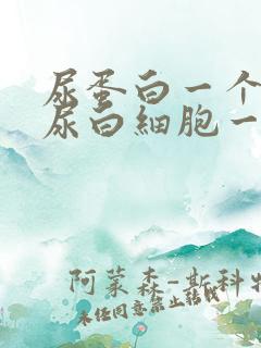 尿蛋白一个加号尿白细胞一个加号