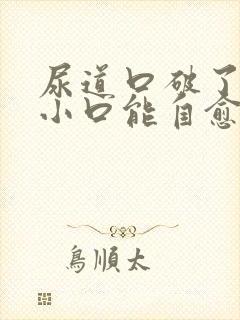 尿道口破了一个小口能自愈吗