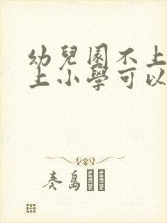 幼儿园不上直接上小学可以吗