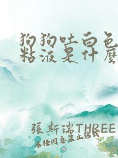 狗狗吐白色泡沫粘液是什么原因精神很好