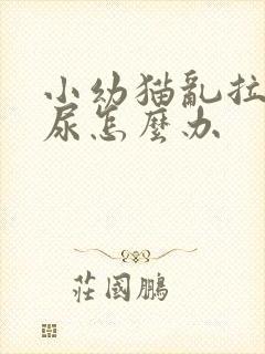 小幼猫乱拉屎拉尿怎么办