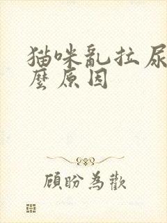 猫咪乱拉尿是什么原因