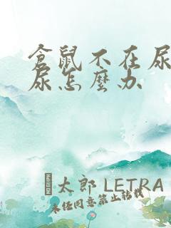 仓鼠不在尿沙里尿怎么办