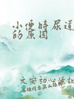 小便时尿道刺痛的原因