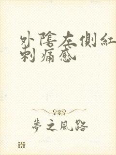 外阴左侧红肿有刺痛感