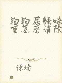 狗狗尿骚味道很重怎么消除小妙招