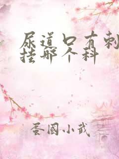 尿道口有刺痛感挂哪个科