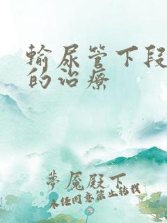 输尿管下段结石的治疗