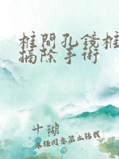 椎间孔镜椎间盘摘除手术