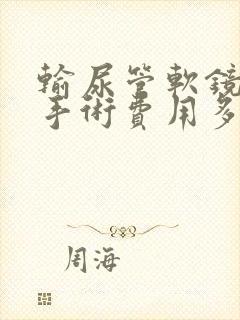 输尿管软镜取石手术费用多少