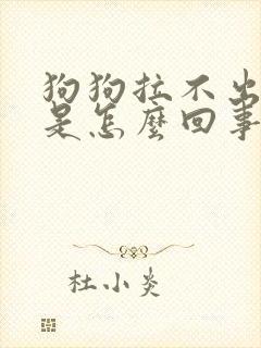 狗狗拉不出来尿是怎么回事