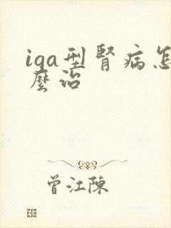 iga型肾病怎么治