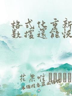 格式化重新分区数据还能恢复吗