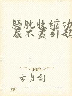 膀胱收缩功能差尿不尽引起的膀胱炎怎么治疗