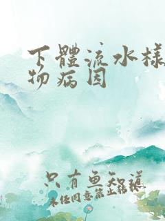 下体流水样分泌物病因