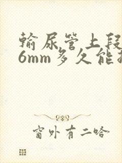 输尿管上段结石6mm多久能排出