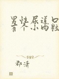 男性尿道口边上有个小肉粒