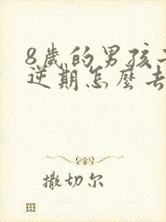 8岁的男孩子叛逆期怎么去引导