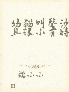 幼猫叫声沙哑而且很小有时没声音