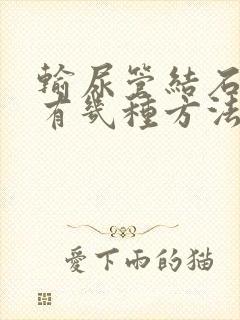 输尿管结石排石有几种方法