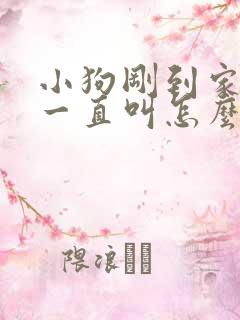 小狗刚到家晚上一直叫怎么办