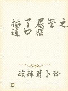 插了尿管之后尿道口痛