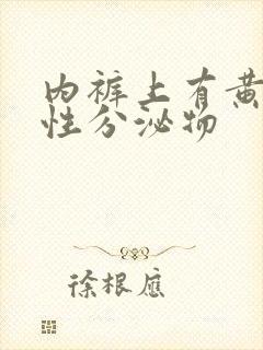 内裤上有黄色粘性分泌物