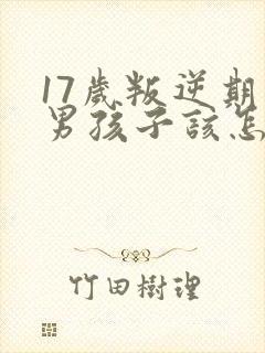 17岁叛逆期的男孩子该怎样去沟通教育