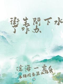 卫生间下水道堵了咋办