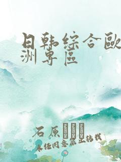 日韩综合欧美亚洲专区