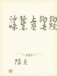 沙发上狗狗尿骚味怎么去除