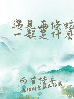 遇见两条蛇缠在一起是什么预兆