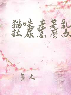 猫咪老是乱拉屎拉尿怎么办