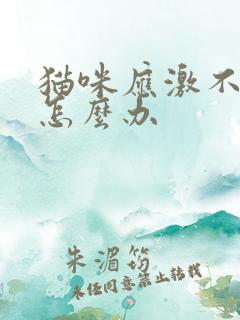 猫咪应激不排尿怎么办