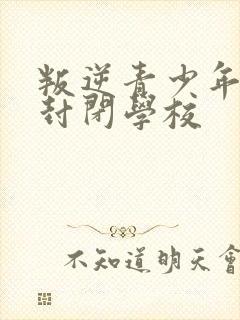 叛逆青少年管教封闭学校