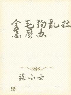 金毛狗乱拉乱尿怎么办