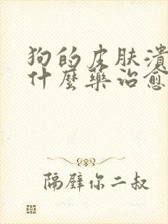 狗的皮肤溃烂用什么药治愈最快