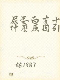 尿蛋白有十十是什么原因引起的