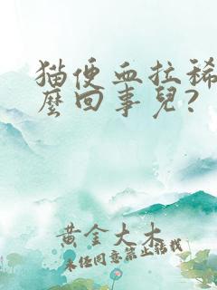 猫便血拉稀是怎么回事儿?