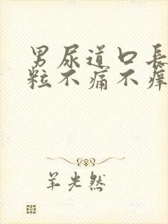 男尿道口长小肉粒不痛不痒