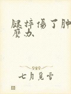 腿摔伤了肿了怎么办