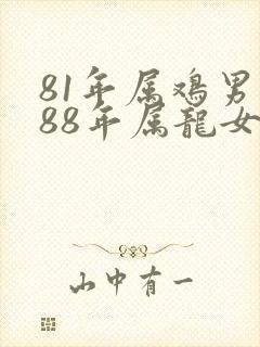 81年属鸡男和88年属龙女婚姻合吗