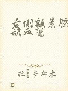 右侧额叶腔隙性缺血灶