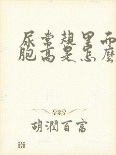 尿常规里面红细胞高是怎么回事