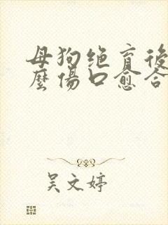 母狗绝育后吃什么伤口愈合快