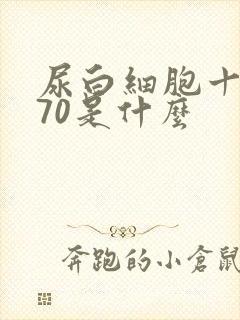 尿白细胞十1 70是什么