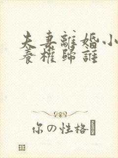 夫妻离婚小孩抚养权归谁