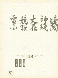 电竞大神暗恋我小说在线阅读